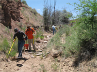 Searching for anomalies in Arroyo Bed.